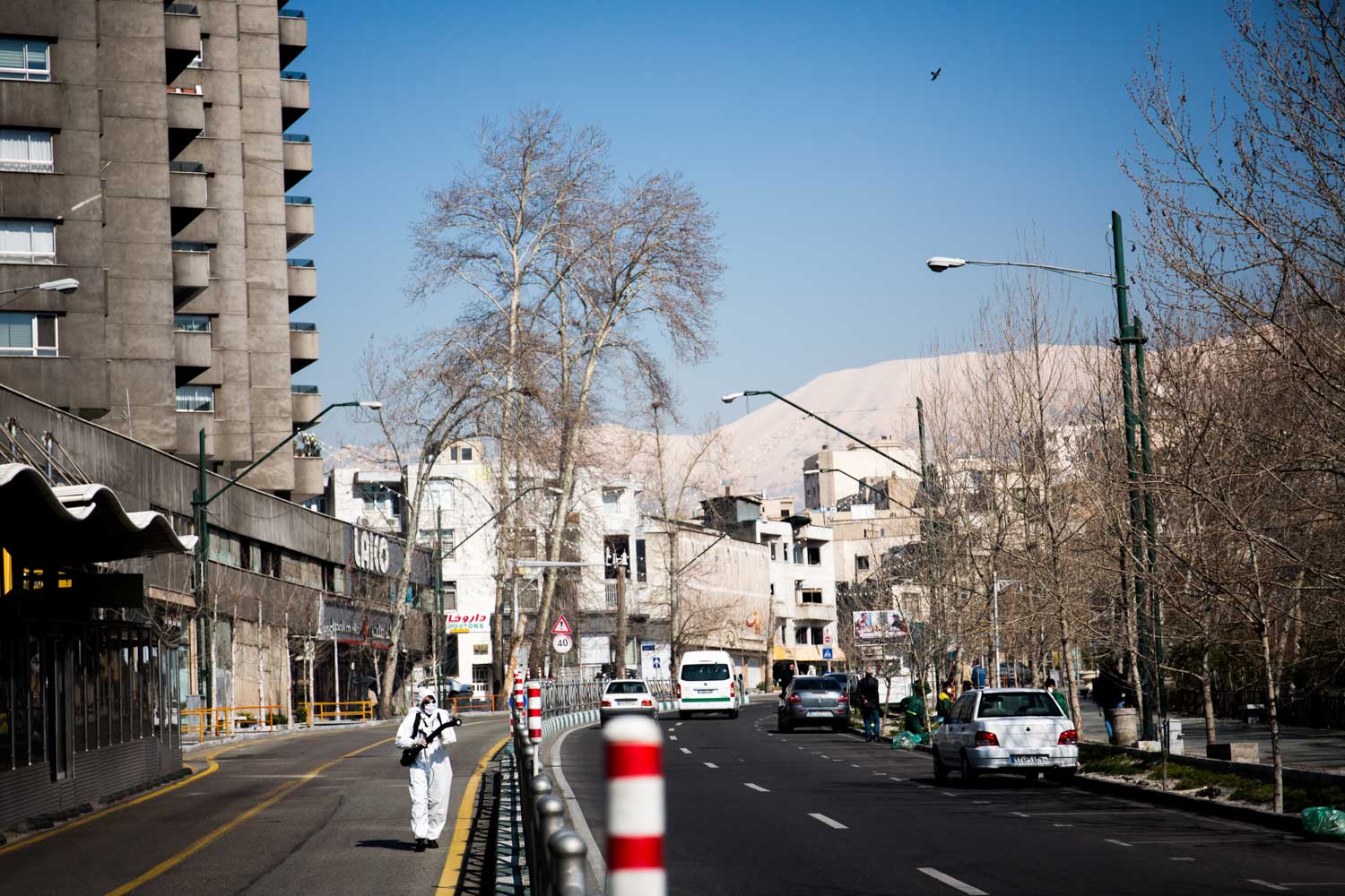 A Street That Kept Breathing